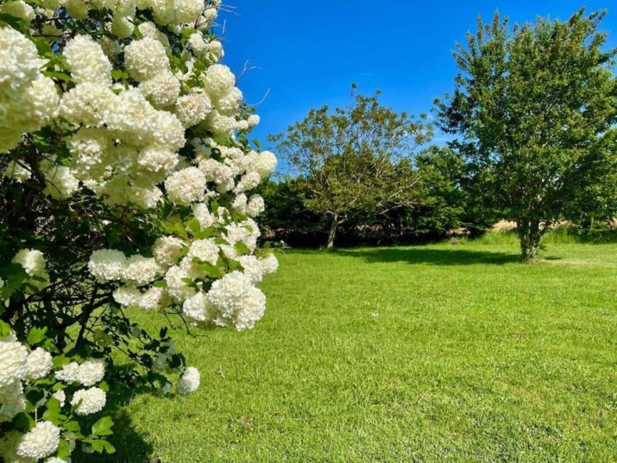 לינה וארוחת בוקר La Ferme Du Bois De Plottes מראה חיצוני תמונה